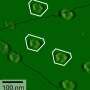 Microcline reveals how a common mineral surface triggers ice formation in clouds
