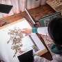 AI and 8 million digitized plant specimens reveal how the climate is changing nature in large parts of the world