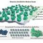 Cow gut enzyme could help target bacterial biofilms and antibiotic-resistant infections