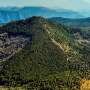 Machine learning predicts forest soil fungal diversity from drone images