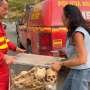 Bones of medieval kings saved from Spanish wildfire