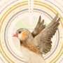 First complete songbird genome exposes missing genes and chromosome architecture
