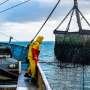 Harsher weather could encourage sustainable ecolabeling in fishing industry