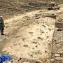 Fossil footprints reveal body size and group dynamics of 1.4-million-year-old human relative