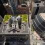 Green roofs can help cool cities in the summer heat, but building them is only the first step. Many don't survive