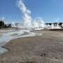 How ancient red algae power extreme ecosystems and offer clues to life's evolution