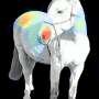 How can AI help identify pain when animals can't tell us they're suffering?