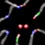How chromosomes find their partners