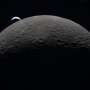 Human-related microbes may survive moon's South Pole