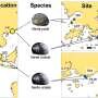 Tropical species near thermal limits as global warming compresses safety margins