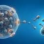 Mathematical model devised to protect bacteriophages without hindering their action