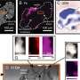 Meteorite dust holds records of magnetism that may have helped form the sun