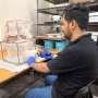 Mosquitoes are rapidly activating enzymes against common insecticide, researchers warn