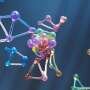 Sizing errors can hide true nanoparticle behavior