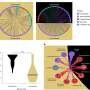 Soil bacteria share amino acids, helping nearly half survive nutrient gaps