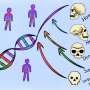 New technique pinpoints human DNA inherited from 'ghost' ancestors