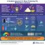 One-step synthesis of catalysts that turn carbon dioxide into useful methane