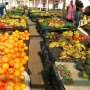 South Africa produces enough food, yet millions face hunger. Better cold storage could help change that