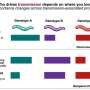 Quality vs. quantity: Why 'super-shedders' may not be the superspreaders of disease outbreaks
