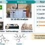 Researchers detect potentially harmful substance in solid waste