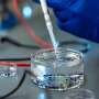 Bioengineers develop biochemical halo to cloak insulin-producing cells from body defenses