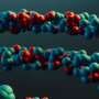 RNA droplets may have helped start life on Earth