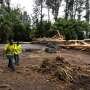 Hawaii recovery efforts begin as Lala is downgraded, moves west