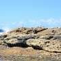 Ocean heat waves linked with poorer health among children in coastal communities