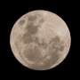 Scientists are certain a wayward SpaceX rocket slammed into the moon as predicted