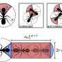 Scientists simulating ant swarms find a 'first mover' can set the colony in motion