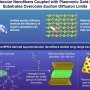 Supramolecular nanofibers paired with nanohole substrate improve exciton transport in organic solid