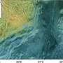 Venus's polygonal plains could point to a watery past