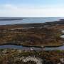 Under-the-radar creeks could be sweeping carbon out of salt marshes