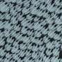 Two oceans, one country—and 20 times more sharks in the prehistoric Pacific