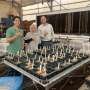 Low-cost spray can help tomatoes grow in salty soils