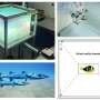 Virtual reality fish platform offers insights into the impact of artificial light on aquatic life