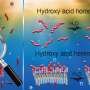 When polymers meet primitive membranes: How molecular cooperation may have helped life begin