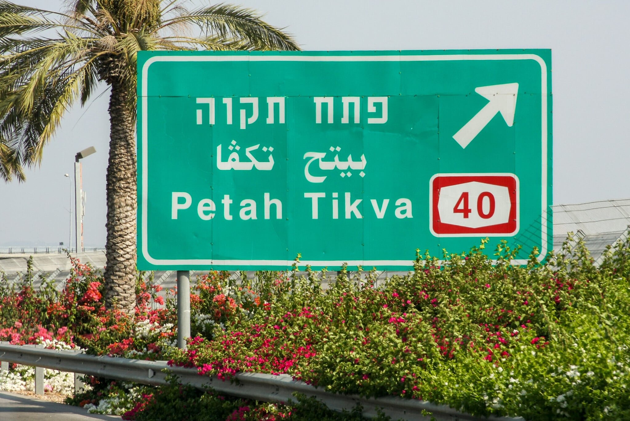 Petah Tikva or Petah Tiqwa? Israel to spend NIS 250,000 settling the debate