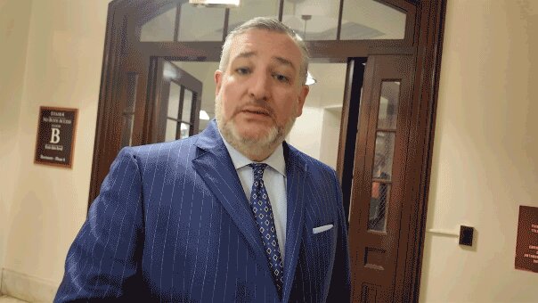 Ted Cruz demands Fauci face jail time, labels him as America's 'most damaging bureaucrat