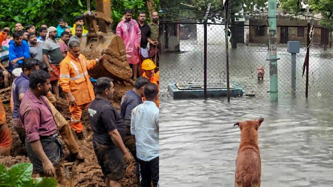 6 killed in Kerala as heavy rain triggers landslides, floods; IMD issues red alert