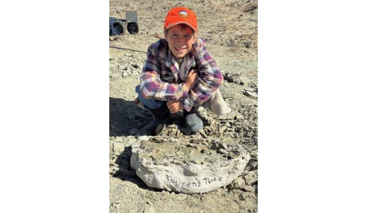 11-year-old finds 48-million-year-old turtle fossil in Wyoming