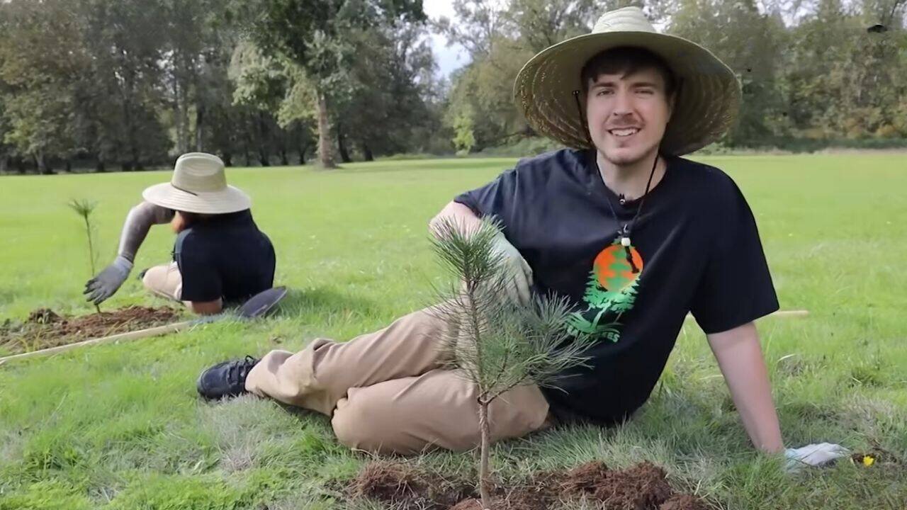 MrBeast's 20 million tree challenge has grown to more than 25 million planted