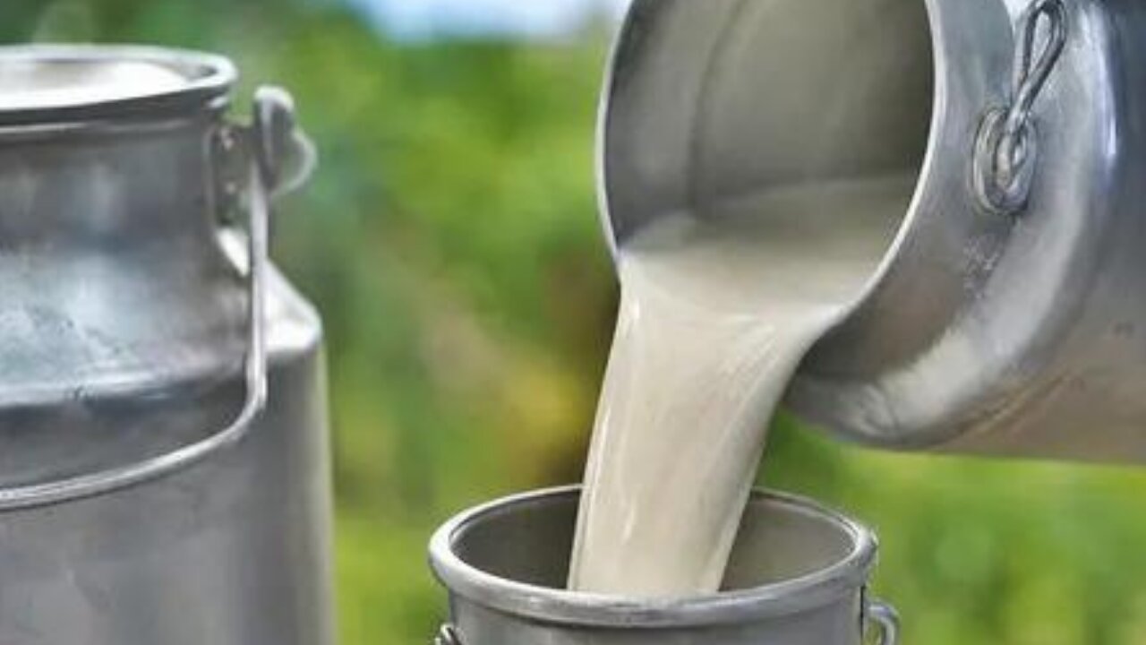 Milk gets costlier: TN raises procurement price; wholesale rate in Mumbai to cross Rs 100