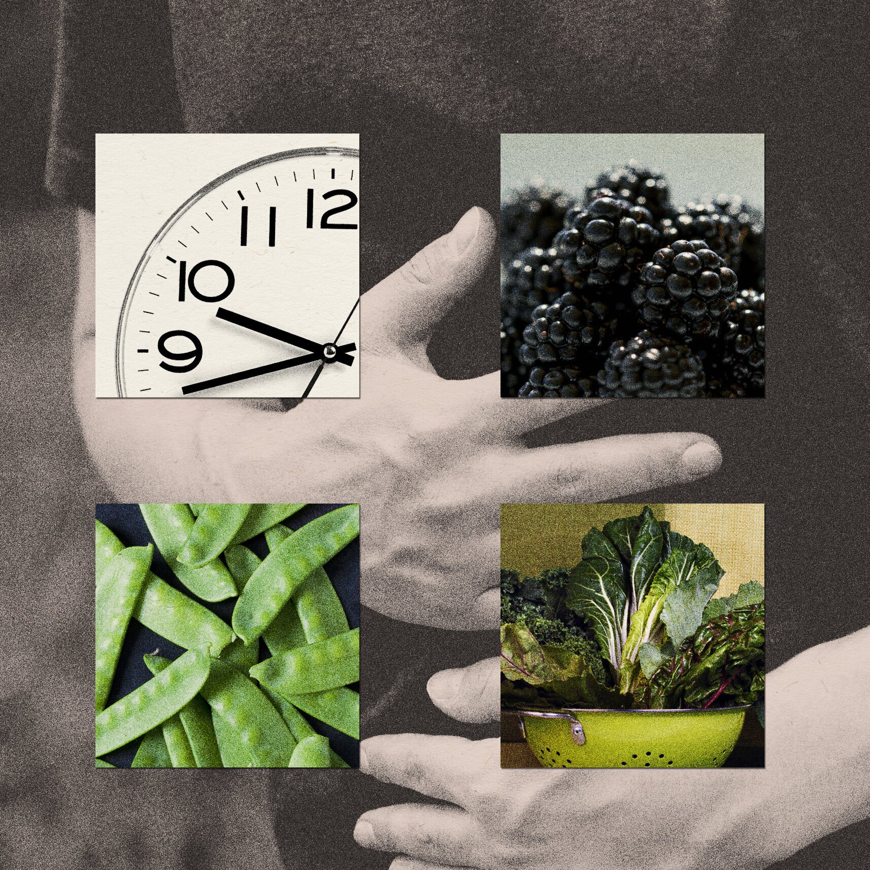 Cyclospora Outbreak: What to Know About Symptoms and Food Safety