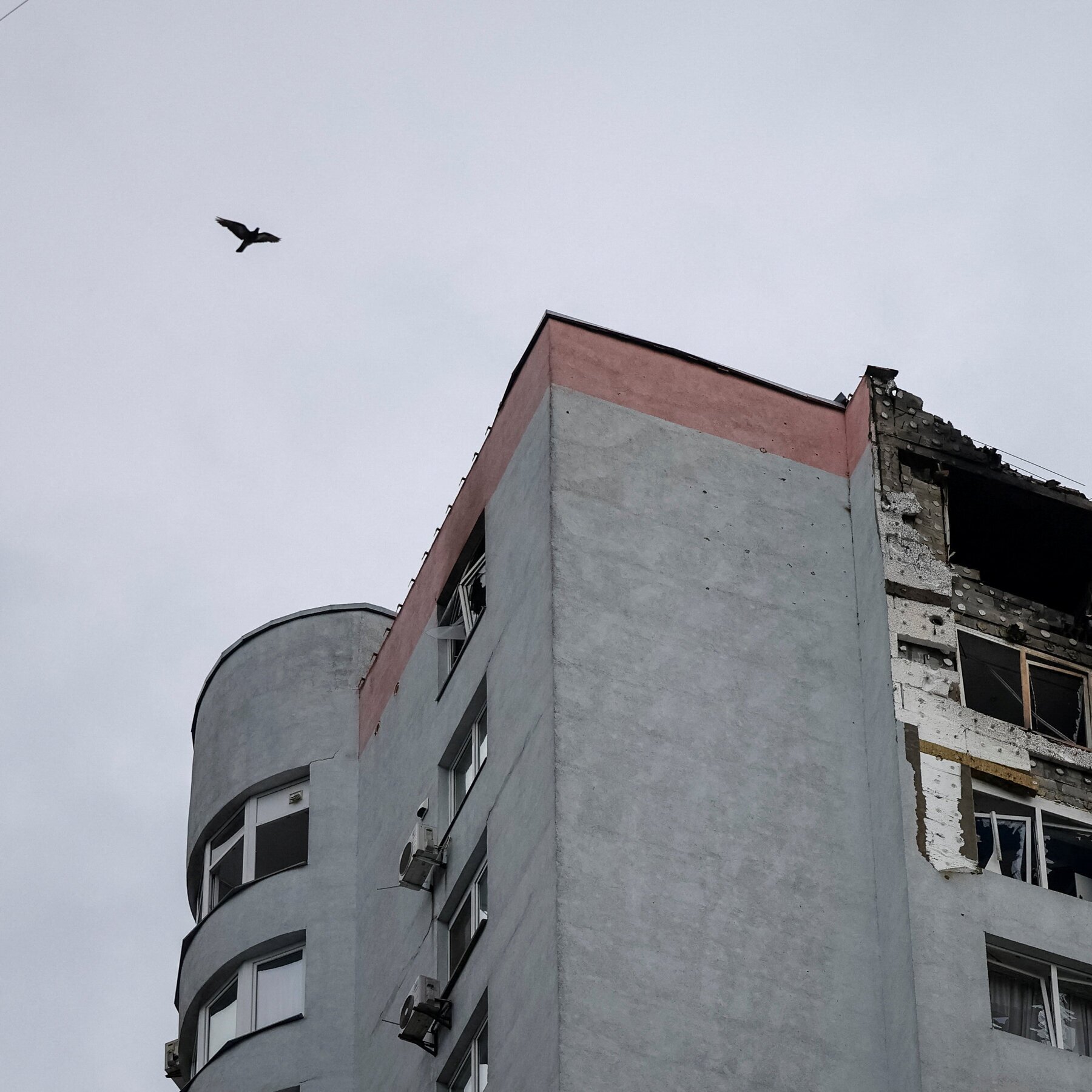 Trump’s Chance for Peace in Ukraine Is Real. But It Won’t Last.