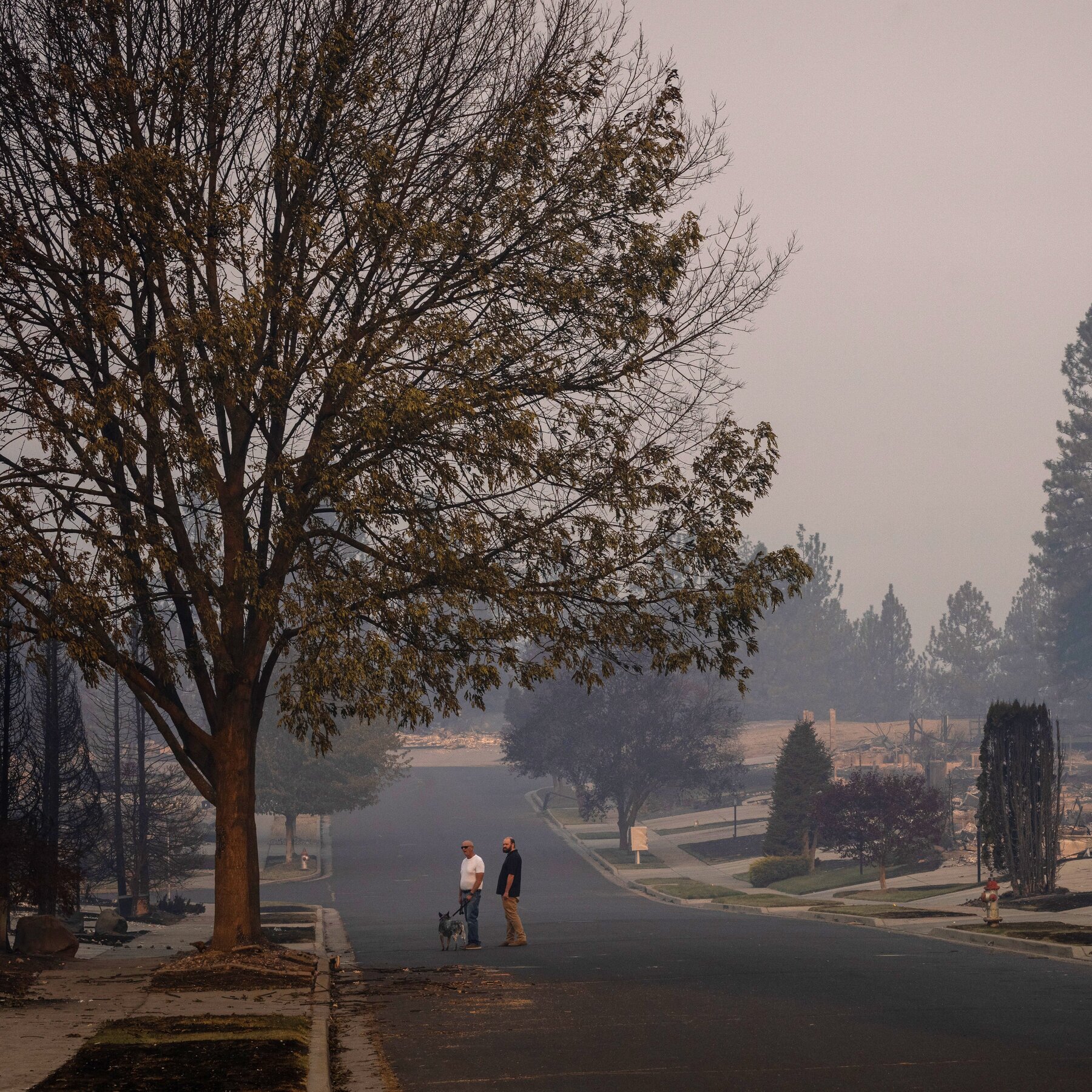 A War Zone’: Spokane Wildfires Leave a Devastating Trail of Destruction