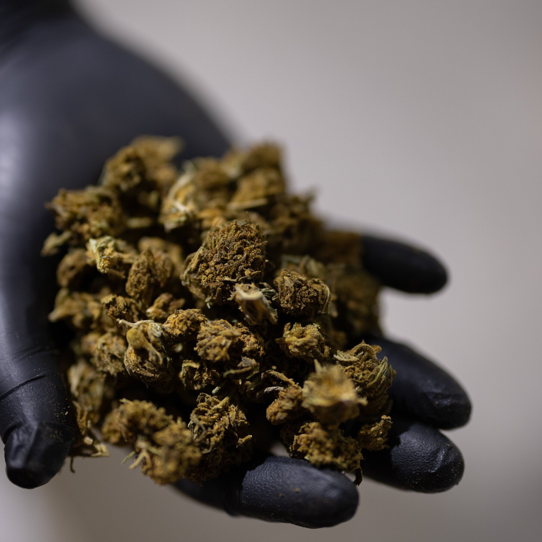 Trump Seeks a Boost for Hemp That Would Benefit a Top Aide’s Family
