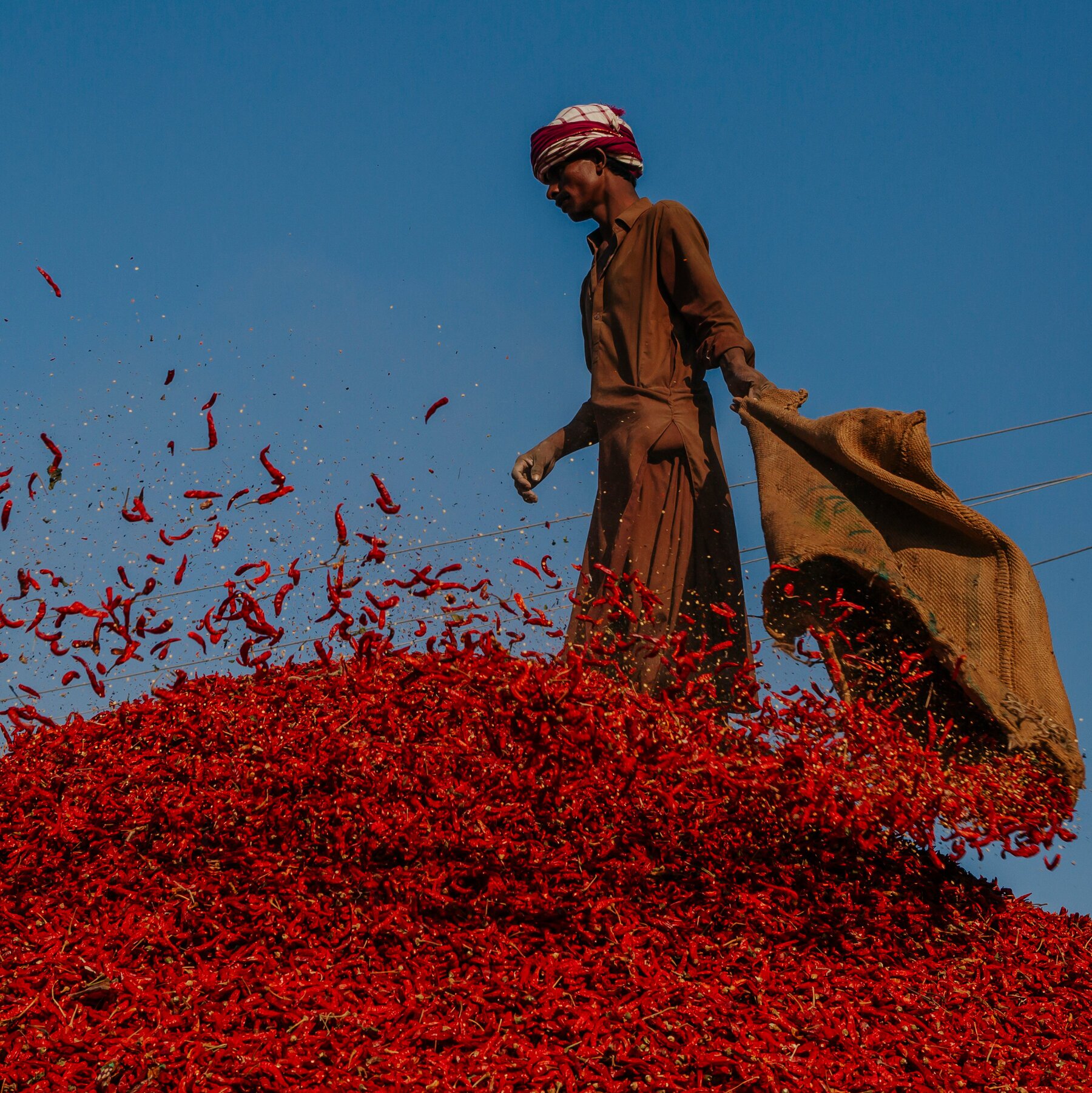 Extreme Heat Comes for the Red Chile Capital of Pakistan