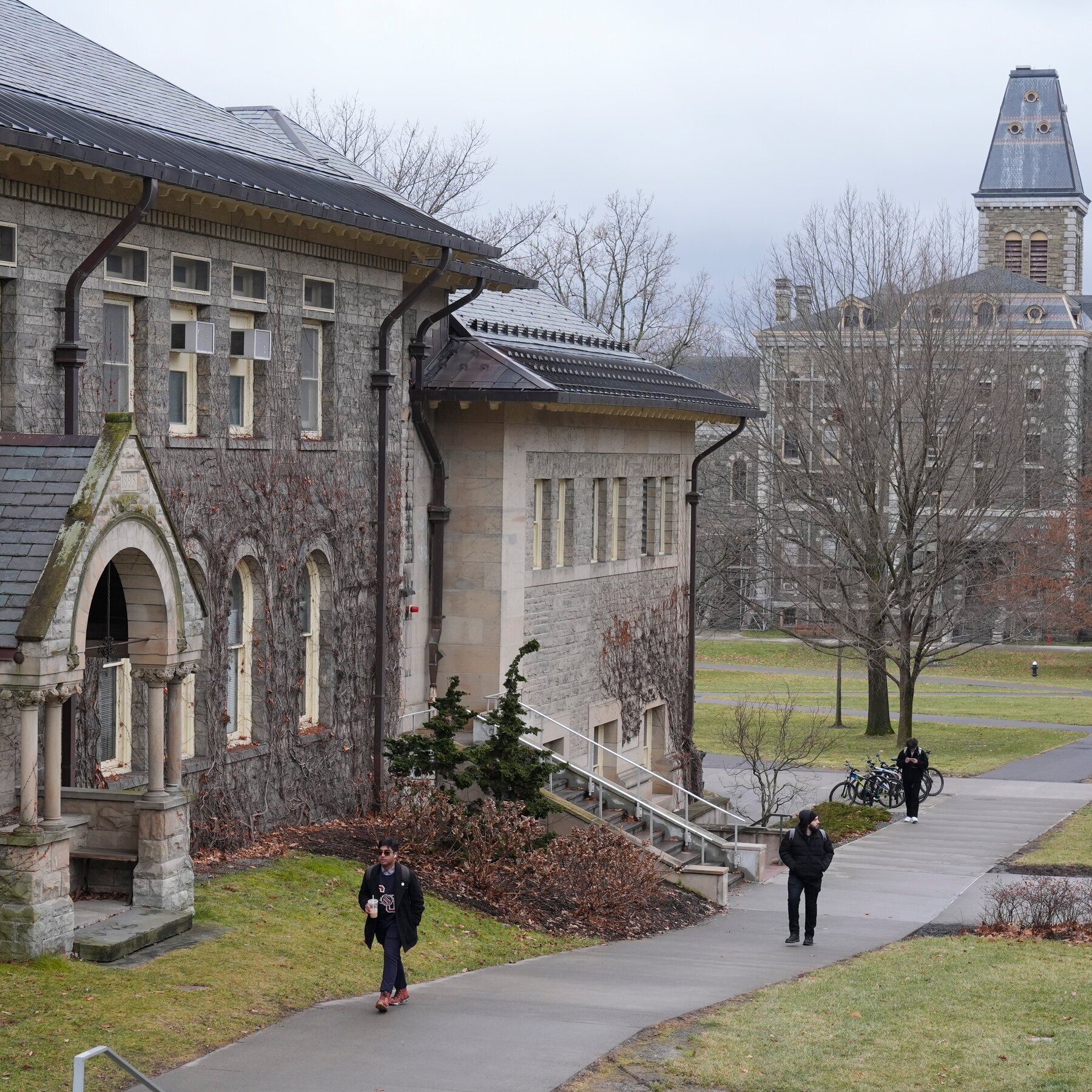 Students Skinned a Bear in a Dorm. Cornell Realized It Should Ban That.