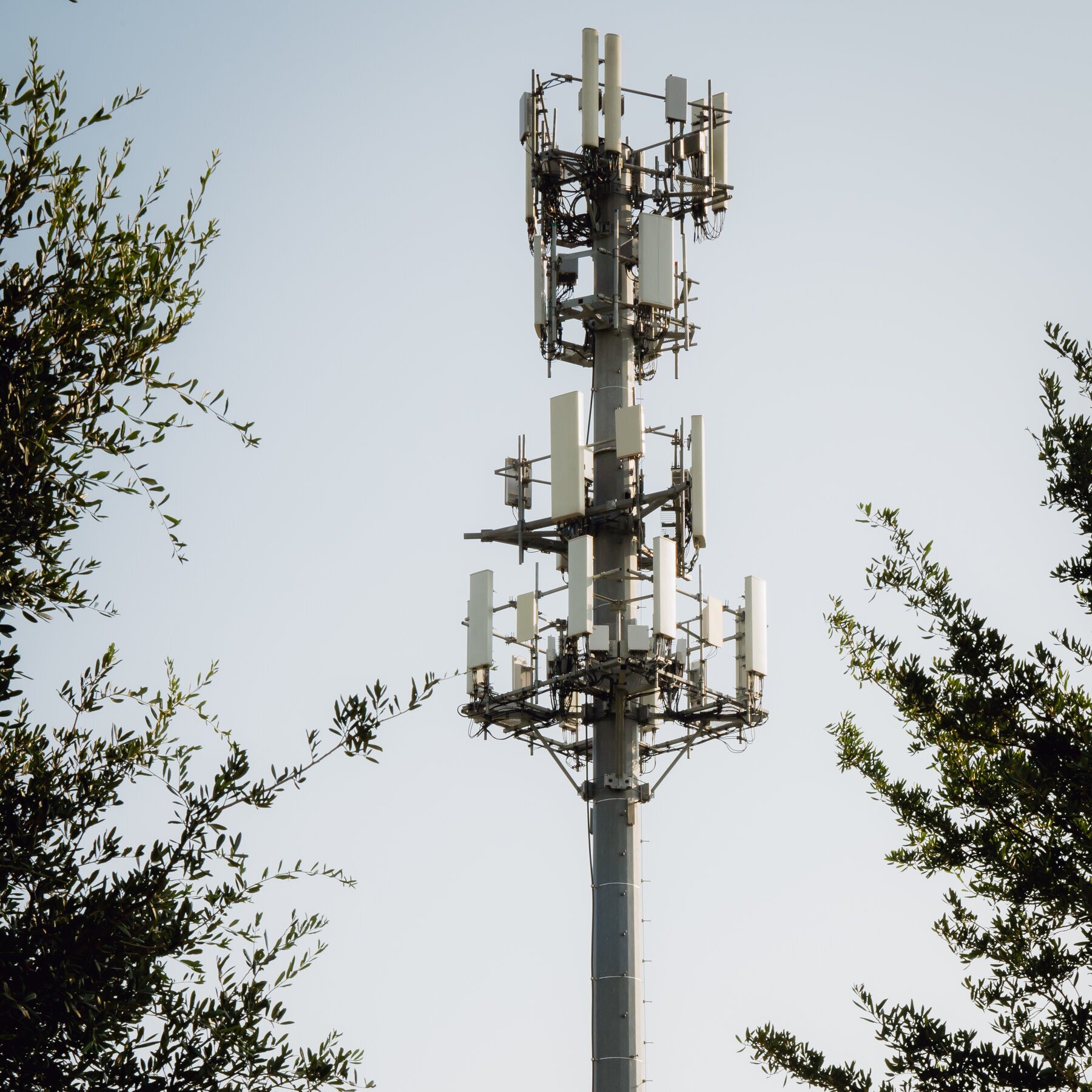 One Source of Paxton’s Wealth: A Cell Tower at a Hospital He Knew Well